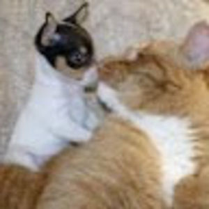 Meet your Posher, Student rebecca